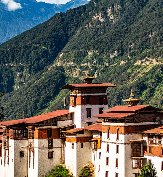 bhutan travel information