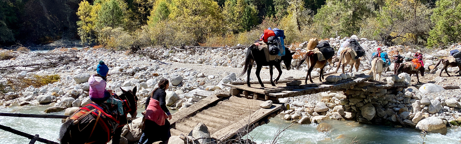 Conquer the Legendary Laya Gasa Trek