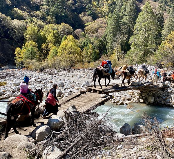 Conquer the Legendary Laya Gasa Trek