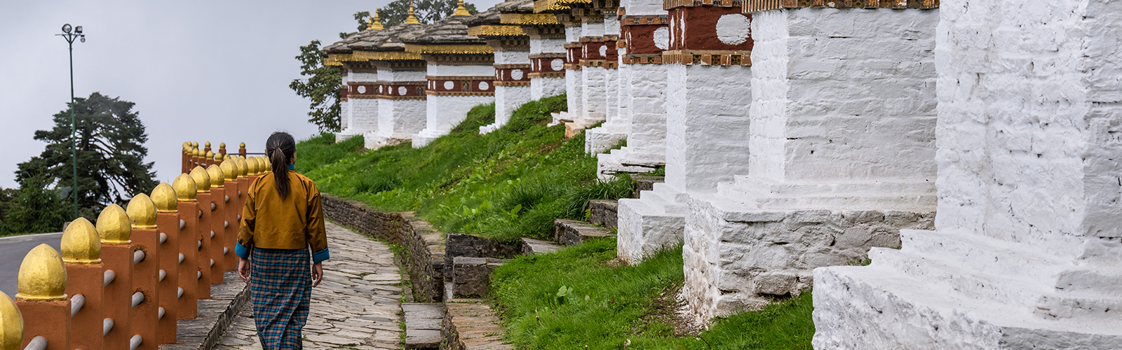 Discover Bhutan Beauty on the Jomolhari Trek